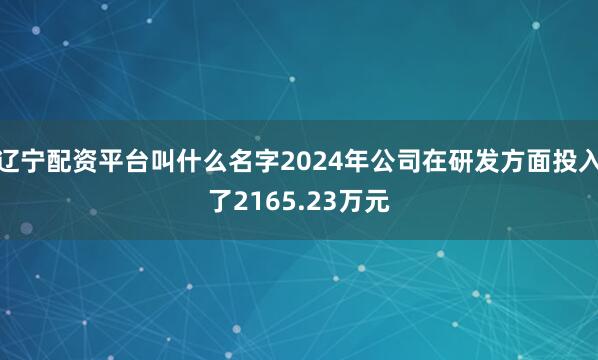 辽宁配资平台叫什么名字2024年公司在研发方面投入了2165.23万元