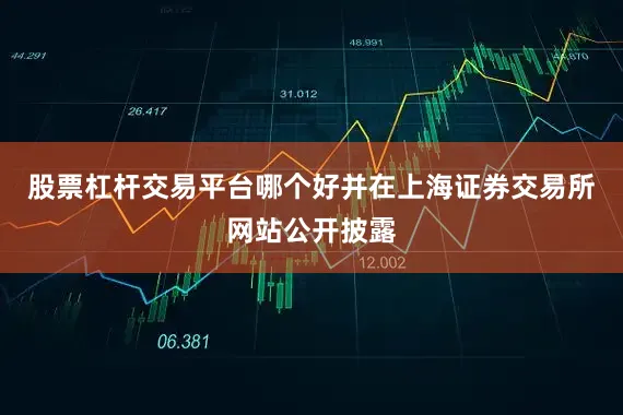 股票杠杆交易平台哪个好并在上海证券交易所网站公开披露