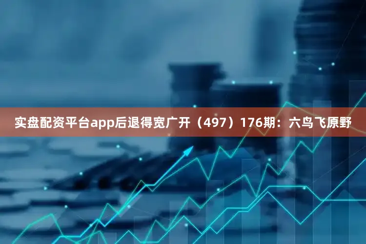 实盘配资平台app后退得宽广开（497）　　176期：六鸟飞原野