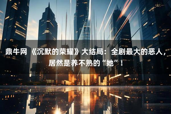 鼎牛网 《沉默的荣耀》大结局：全剧最大的恶人，居然是养不熟的“她”！