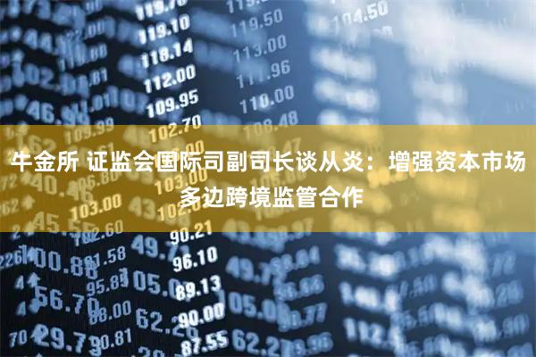 牛金所 证监会国际司副司长谈从炎：增强资本市场 多边跨境监管合作